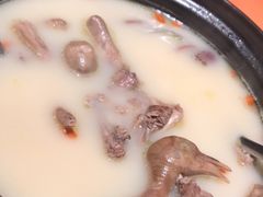 -羽鸽集·乳鸽专门店·地道顺德菜(岭南站店)