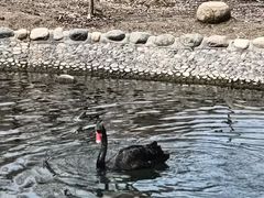 -水磨沟公园