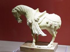 -宁夏博物馆