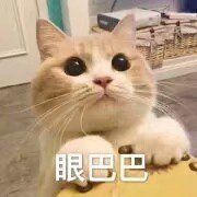 -老韩煸鸡·中国炸鸡(水塔美食街店)