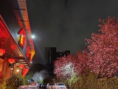 -广东花都湖国家湿地公园