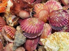 -大锅强·蒸海鲜青岛菜(吾悦广场店)