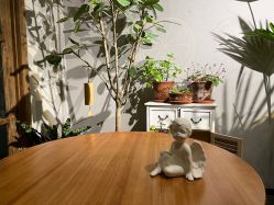 -芳香乐府疗愈空间·SPA·冥想