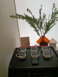 -Fundi张玉珊修身堂·indiba·BTL科技瘦身