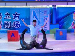 -成都浩海立方海洋公园