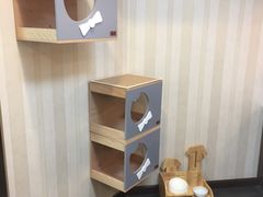 -宠爱国际动物医院·消化内科·心肾内科·ISFM猫友好(望京店)