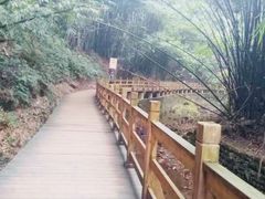 -凤栖山