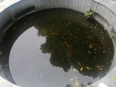 -重庆平顶山公园