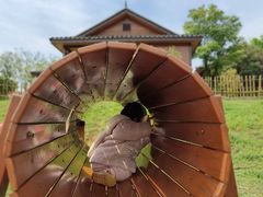 -梁子湖东篱老屋生态庄园