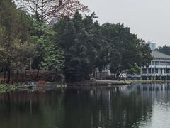 -荔湾湖公园