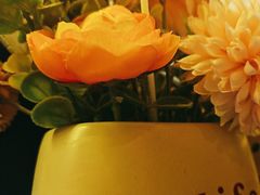 -醉得意·山茶油炒土鸡(莆田仙游方圆荟店)