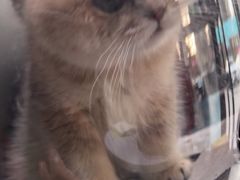 -心仪动物医院·牙专科·肿瘤·心脏科(西客站院)