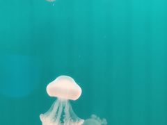 -福州罗源湾海洋世界旅游区
