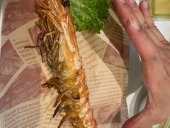 -开海·红岛海鲜虾水饺(石老人店)