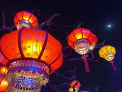 -北京石景山游乐园