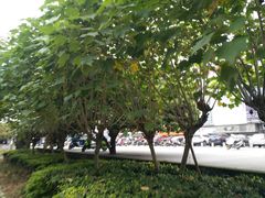-柳州宾馆-云霄阁·旋转餐厅