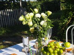 -安德鲁户外烧烤帐篷营地(马泉营店)