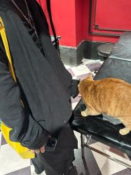 -海王刺青·纹身·穿孔饰品·TATTOO