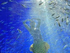 -海合安青岛极地海洋公园