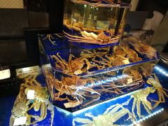 螃蟹玻璃缸-蟹道乐(道顿堀本店)