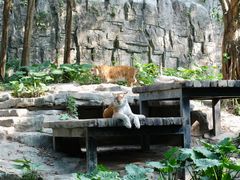 -广州长隆野生动物世界