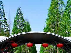 -东平国家森林公园