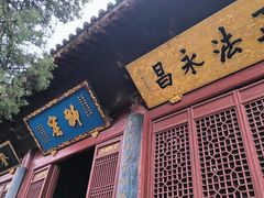 -洛阳白马寺