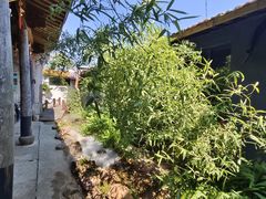 -东钱湖旅游度假区