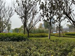 -重庆医科大学附属儿童医院(两江院区)