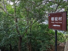 -紫金山山顶公园