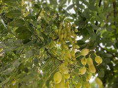 -南京市无想山景区