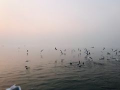-恒河