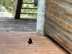 -黔蘑菇四季餐厅(观山湖店)