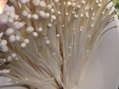 -海底捞火锅(航洋城店)