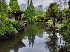 -水绘园