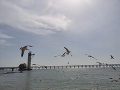 -大连圣亚海洋世界