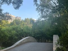 -长白岛森林公园