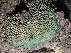 -涠洲岛南湾海洋运动公园