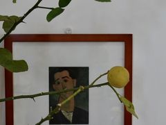 -COTTON CAFE(德信·中外公寓店)