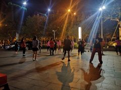 -大岗仙庙烧鸡(海南总店)