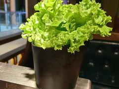 -九田家黑牛烤肉料理(新辰里亚运村店)