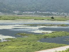 -腾冲北海湿地
