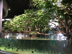 -福州罗源湾海洋世界旅游区