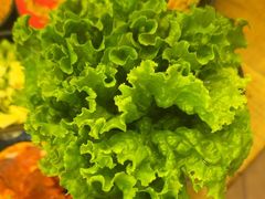 -九田家黑牛烤肉料理(衡百国际店)