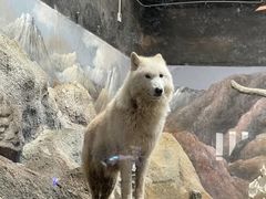 -西安曲江海洋极地公园