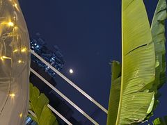 -天空花园餐吧·生日·团建(南山店)