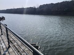 -上海保利玛莎拉蒂和阿尔法罗密欧(华翔路店)