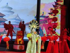 -金东尼人妖秀