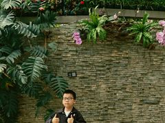 -石家庄市植物园
