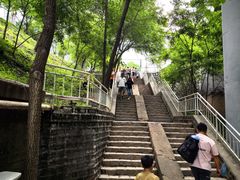 -白水寺森林公园